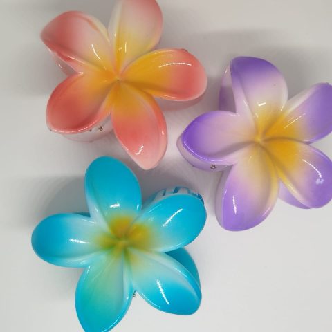 ענהאל ביטון- קליפס פרח